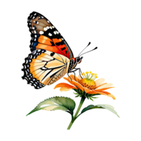 Watercolor Clipart Painted Lady Butterfly on Flower Illustration Transparent Background png