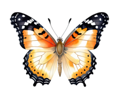 Painted Lady Butterfly Watercolor Transparent Background png