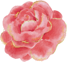 Rose watercolor valentine illustration png