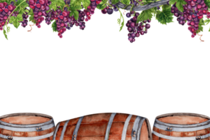 Postcard design with wine, port, whiskey barrels under bunches of grapes on vine branch. Watercolor illustration isolated on transparent background. Border frame for cards, menus, invitations, tasting png