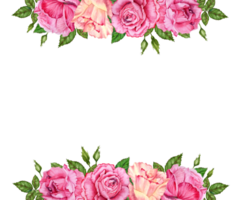 Blumen- Rahmen mit Rosa Rose Blumen, Knospen und Grün Blätter. Hand gezeichnet Aquarell Illustration isoliert auf transparent Hintergrund. entworfen zum Valentinstag Karten, Einladungen, Banner, Geschenke, Hochzeiten png
