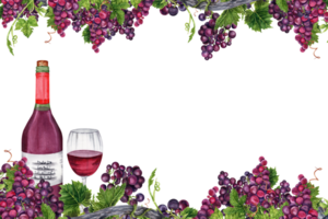 cartão postal Projeto com cachos do uvas com verde folhas, videira galhos e vinho garrafa e vidro. mão desenhado aguarela ilustração isolado em transparente fundo. cartão, convite, vinho degustação png