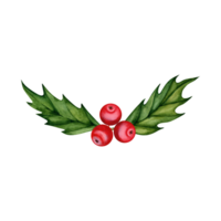 Holly branch with red berries. Evergreen plant. Christmas design element. Hand drawn watercolor illustration isolated on transparent background. Festive season cards, invitations, greetings, icon png