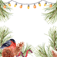 Bright Christmas composition with pine tree branches, lights, bullfinch and pinecones. Square frame design ready for text. Watercolor illustration isolated on transparent background. Card border. png