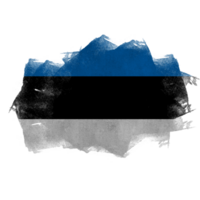 Estonia Brush Flag png