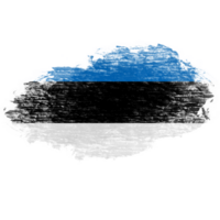 Estonia spazzola bandiera png