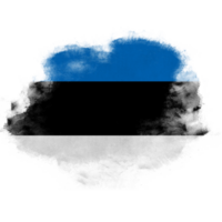 Estonia Brush Flag png