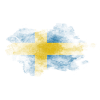 Sweden Brush Flag png