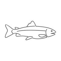 Salmon Fish outline illustration vector