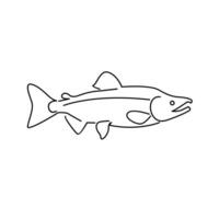 Salmon Fish outline illustration vector