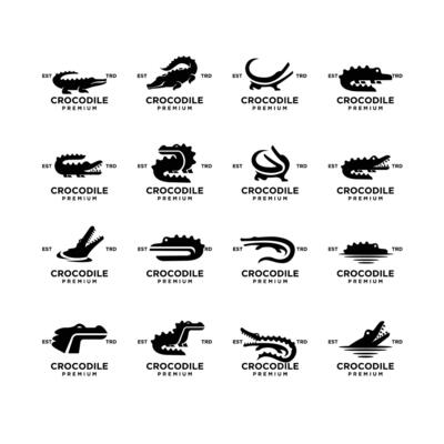 Crocodile logo icon design illustration