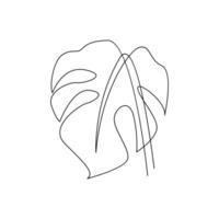 Monstera continuous Line illustration vector