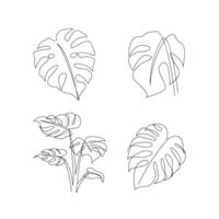 monstera continuo línea ilustración vector