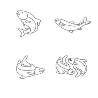 Salmon Fish outline illustration vector