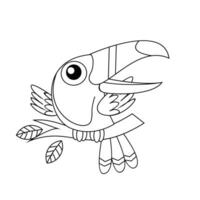 toucan bird drawing line cute black white illustration vector