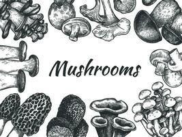 Mushrooms. Hand drawn different mushrooms organic vegetarian product food, sketch design for menu, label or packaging, vector background