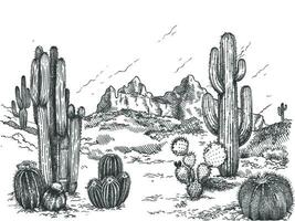 Desierto paisaje. mano dibujado mexicano pradera con plantas y floreciente cactus, espinoso suculentas naturaleza salvaje Oeste bosquejo vector antecedentes