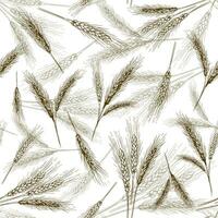 Seamless wheat ear pattern. Sketch breads grains, hand drawn bakery ears and bread grain vector illustration set