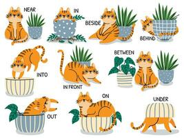 Inglés preposiciones. educativo visual material para niños aprendizaje idioma. linda gato detrás, arriba, cerca y debajo flor maceta vector conjunto