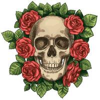 Skull and roses. Dead skeleton head and red flowers, hand drawn gothic tattoo graphic. Vintage scary halloween death sketch vector symbol