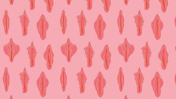 Seamless pattern with different type of female labia animation Loop Background. Video flat cartoon animation design element. 4K video footage