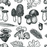 Leaves and mushrooms pattern. Hand drawn different autumn leaf, berries and mushrooms, vintage fall season sketch seamless vector texture.