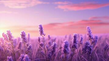 AI generated Lavender soft background photo