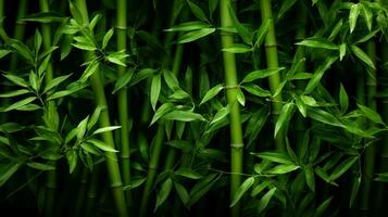 AI generated Bamboo Textures background photo