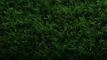 AI generated Grass Textures background photo