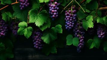 AI generated Grape vine background photo