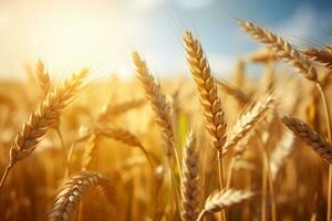 AI generated Golden Grass Field on a Sunny Summer Day, A Serene and Beautiful Landscape. Generative AI photo