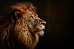 AI generated Portrait of a lion,side view in dark background photo