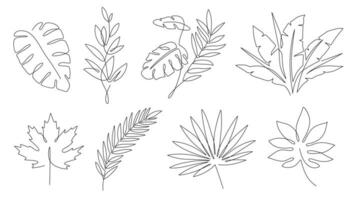 Tropical leaves. Palm tree and maple linear leaf. Tropic jungle and beach floral abstract elements continuous line exotic plant vector set