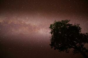 lechoso camino y estrella a noche hora foto