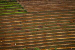 Soil of rice terrace on hill of mountain photo