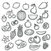 Doodle fruits. Hand drawn outline berry apricot, banana and pear, cherry. Apple, strawberry and grape vector