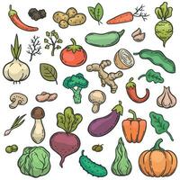 bosquejo vegetales. mano dibujado color vegetal vegetariano producto sano dieta pepino, brócoli y repollo, zanahoria, patata garabatear vector conjunto