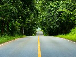 Empty long road is a crossing through green tree photo