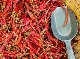 Red dry chilies in department store photo