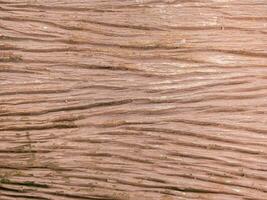 Closeup nature surface texture style of wooden, brick, wall , stone sheet photo