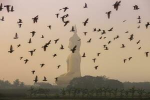 birds flying on buddha againts sky photo