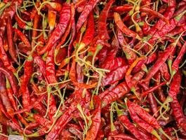 Red dry chilies in department store photo