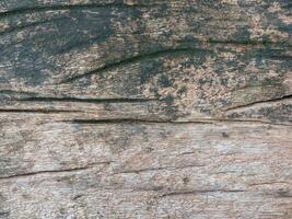 Closeup nature surface texture style of wooden, brick, wall , stone sheet photo