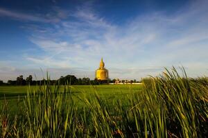 View of Buddha on green grass photo