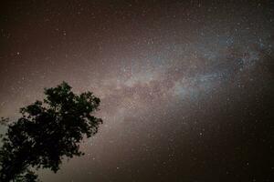 milky way and star at night time photo