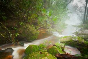 waterfall in forest in rain season photo