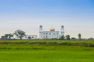 mosque view on green grass photo