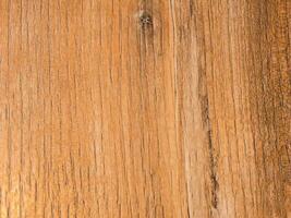 Texture of wood photo