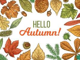 Autumn leaves. Hand drawn different autumn foliage trees, sketch fallen leaf and hello autumn for promo poster or banner vector background.