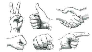 Hand drawn gestures. Pointer finger, strong fist and punch. Handshake, thumb up like and triumph victory gesture sketch vector illustration set